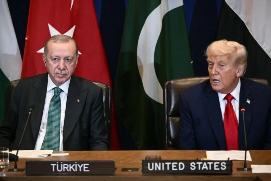 حملة أميركية إسرائيلية تستبق زيارة أردوغان للبيت الأبيض