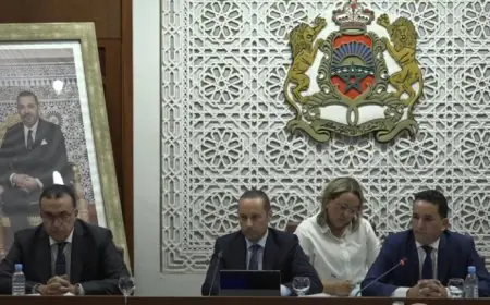التهراوي: الحكومة متفهمة لمطالب الشباب ولا حزب يعارض إصلاح المنظومة الصحية