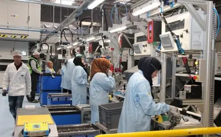 إحداث 65 ألف مقاولة جديدة بالمغرب خلال الأشهر السبعة الأولى من 2025