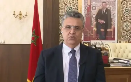 وهبي: الاحتجاجات لا تعني إسقاط الحكومة دستوريا وإصلاحات القطاع الصحي تواجه تحديات هجرة الأطباء