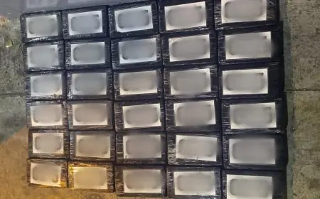 إحباط عملية تهريب 33 كيلوغراما من الكوكايين بميناء طنجة المتوسط