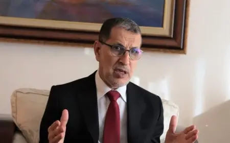 العثماني: الشباب محقون في نقد الفساد ويجب تعزيز الشفافية في اختيار المرشحين