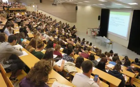 إنطلاق النسخة الثانية من طلب تقديم مشاريع رقمنة الدروس الجامعية بالتعليم العالي