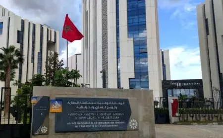 المحافظة العقارية تطلق مشروعا ضخما لرقمنة ملفات التحفيظ بقيمة 10 ملايين درهم