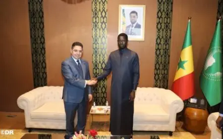 رئيس جمهورية السنغال يستقبل بوريطة لتعزيز الشراكة الإستراتيجية بين المغرب والسنغال