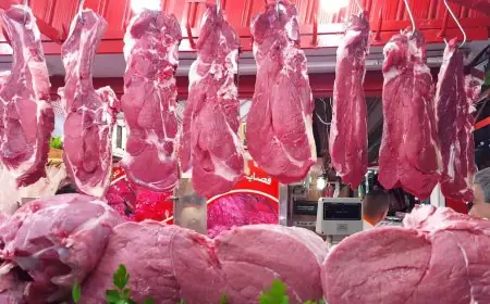 أسعار اللحوم بالمغرب مهددة بالارتفاع بعد انتشار مرض معد في الأبقار الإسبانية