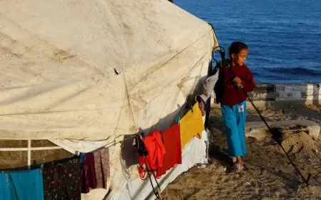 اجتماع عربي أوروبي في باريس لدعم خطة ترامب لإنهاء حرب غزة