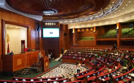 وزارة الداخلية تحدد موعد التباري على مقعد شاغر بمجلس المستشارين