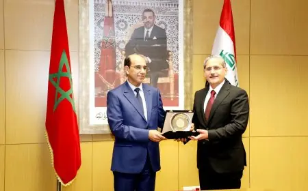 تعزيز الشفافية ومحاربة الفساد محور لقاء هشام البلاوي ورئيس هيئة النزاهة العراقية