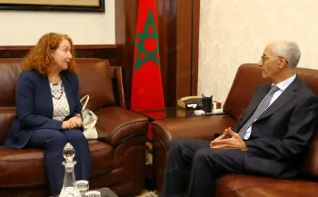 الطالبي العلمي يبحث مع ممثلة برنامج الأمم المتحدة الإنمائي سبل تعزيز التعاون بالمغرب