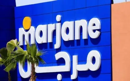 مجموعة "مرجان" توسع سلسلة "Filière M" وتدعم نحو 200 تعاونية فلاحية