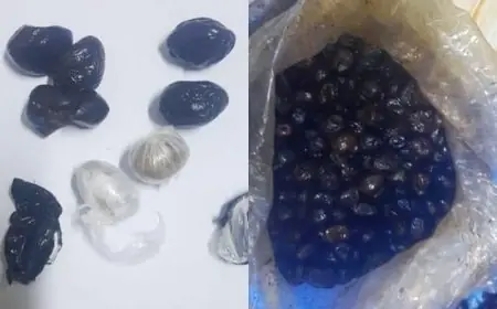 أمن مراكش يحبط محاولة تهريب مخذرات داخل “زيتون” موجّه إلى بلجيكا