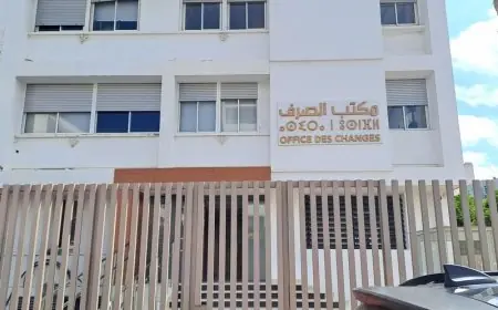 مكتب الصرف يحقق في تحويل أموال ضخمة إلى صناديق استثمارية بالإمارات