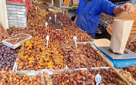 تونس تتراجع عن قرار منع تصدير التمور إلى المغرب
