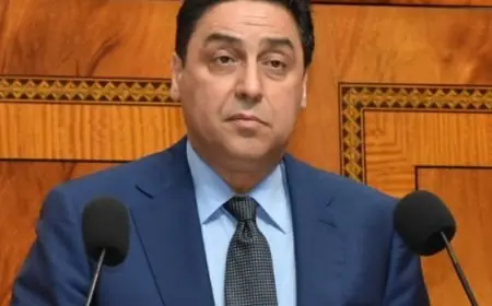 عمر حجيرة يؤكد سعي المغرب لتعزيز التبادل التجاري في إطار منطقة التجارة الحرة القارية الإفريقية