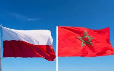 بولونيا تعلن دعمها لمبادرة الحكم الذاتي
