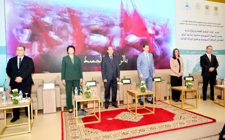 رئاسة النيابة العامة تعلن عن نتائج خط التبليغ المباشر عن الرشوة