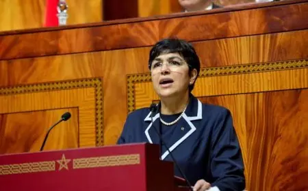 العدوي تكشف إحالة 55 ملفا يتعلق بشبهات جنائية على القضاء منذ سنة 2021