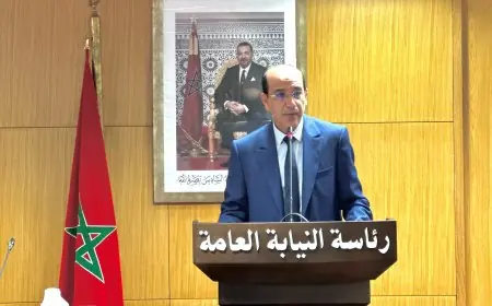 رئاسة النيابة العامة تصدر دليلا لحماية الأطفال المهاجرين في المغرب