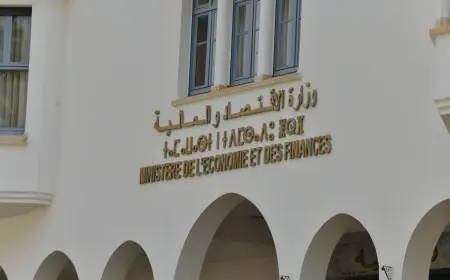 وزارة الاقتصاد والمالية تكشف عن خريطة المؤسسات والمقاولات العمومية بالمغرب