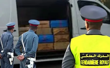 مطاردة هوليوودية تنتهي بحجز طنين من المخدرات ضواحي سيدي علال البحراوي