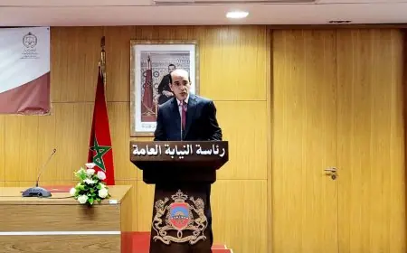 النيابة العامة تطلق دورات تكوينية متخصصة في "الجرائم المالية" لتعزيز قدرات القضاة وضباط الشرطة القضائية