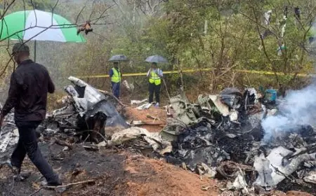تحطم طائرة كانت تقل 12 شخصا بجنوب كينيا