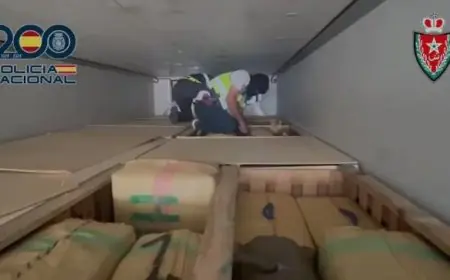 الشرطة الإسبانية تحبط تهريب 22 طنا من الحشيش مخبأة وسط شحنة فلفل أخضر قادمة من المغرب