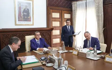 رئيس مجموعة رونو: من بين 5 سيارات تُصنعهم رونو في العالم واحدة يتم تصنيعها بالمغرب