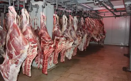 ارتفاع قياسي في واردات المغرب من لحوم الأبقار الأوروبية خلال النصف الأول من سنة 2025