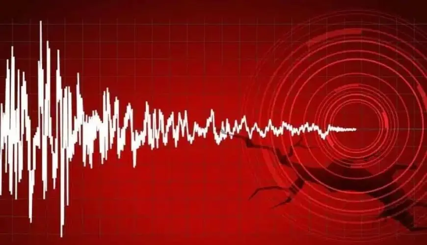 هزة أرضية خفيفة تهز منطقة السواكن بإقليم العرائش
