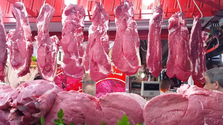 أسعار اللحوم بالمغرب مهددة بالارتفاع بعد انتشار مرض معد في الأبقار الإسبانية