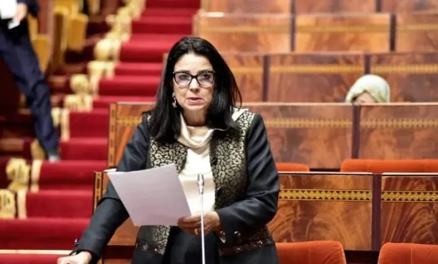 السغروشني تؤكد على ضرورة التنسيق مع هيئات النزاهة لإعداد إستراتيجية جديدة لمحاربة الفساد