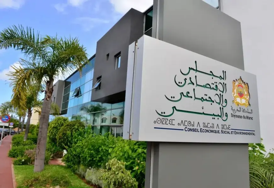 المجلس الاقتصادي والاجتماعي يدعو إلى تعزيز الشراكات بين الجامعات والمقاولات لتطوير البحث والابتكار