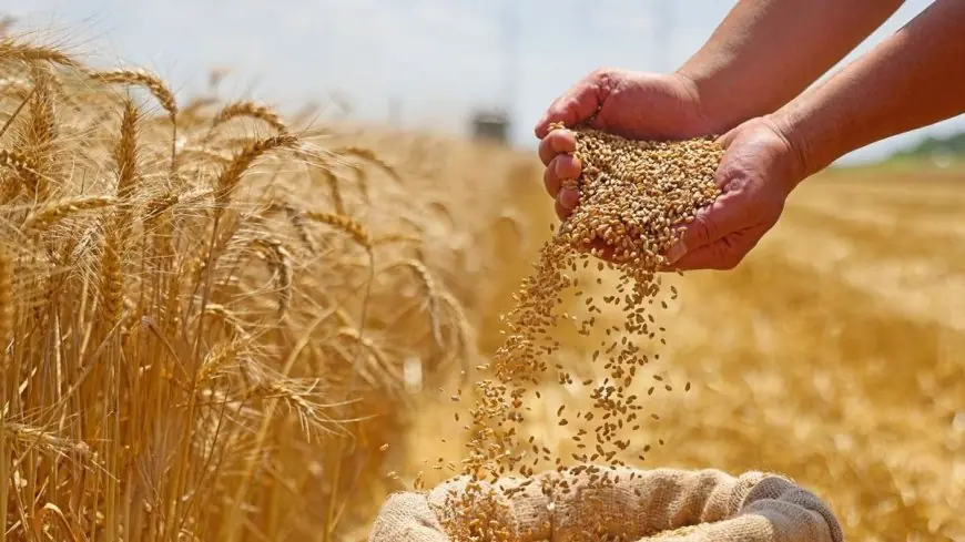 المجلس العلمي الأعلى يصدر فتوى حول الزكاة بعد اطلاع الملك محمد السادس عليها