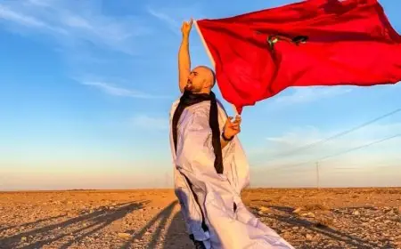فنانون مغاربة يحتفون بالقرار التاريخي لمجلس الأمن حول الصحراء المغربية