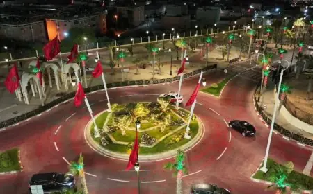 العيون تتزين استعدادا للاحتفال بذكرى المسيرة الخضراء المظفرة