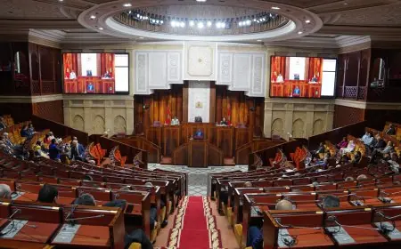 مجلس النواب يعقد الاثنين جلسة خاصة حول القرار الأخير لمجلس الأمن بشأن الصحراء المغربية