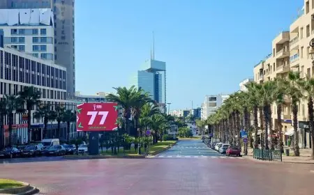 الرباط تطلق اسم "دونالد ترامب" على شارع النخيل بحي الرياض