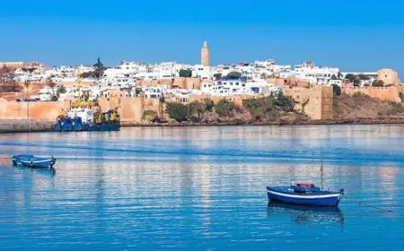 بقيمة 2,3 مليار سنتيم.. الرباط تطلق صفقة لاقتناء حافلتين سياحيتين برمائيتين على نهر أبي رقراق
