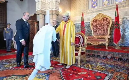 الملك يستقبل الولاة والعمال المعينين حديثا في الإدارة الترابية