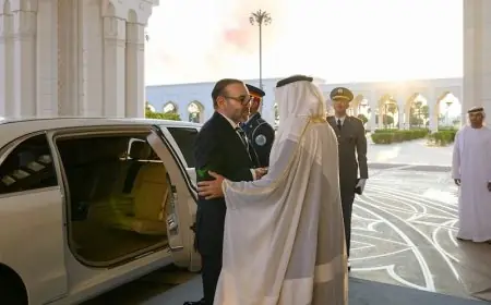الملك محمد السادس يصل إلى الإمارات في زيارة خاصة