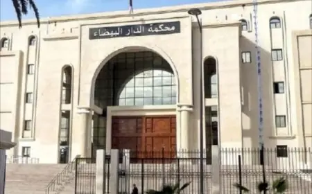السجن خمس سنوات لمغربي استدرج ضحاياه إلى معسكرات الاحتيال الإلكتروني بميانمار