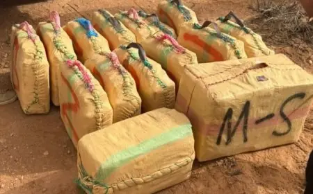 عملية أمنية مشتركة بكلميم تسفر عن حجز 3 أطنان من الشيرا