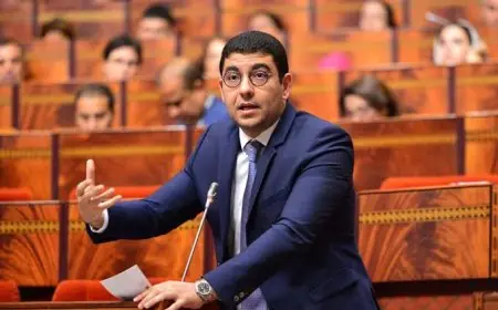 غياب الشفافية في دعم وزارة المهدي بنسعيد للجمعيات الثقافية يثير قلق حقوقيين