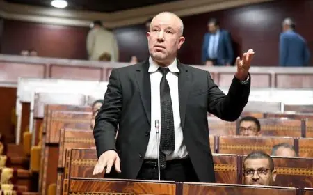 الإبراهيمي لوزير الصحة: "رفع ميزانية قطاع الصحة غير كاف دون تحسين جودة الخدمات"