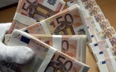 تونس.. إحباط محاولة تهريب 984 ألف يورو عبر معبر الذهيبة