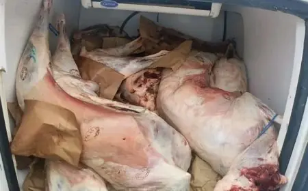 حجز كميات مهمة من اللحوم الفاسدة بمجزرة في مراكش