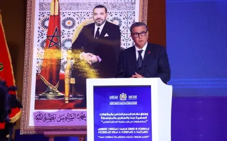 من الراشيدية.. رئيس الحكومة يطلق نظام دعم المقاولات الصغيرة جدًا والصغرى والمتوسطة
