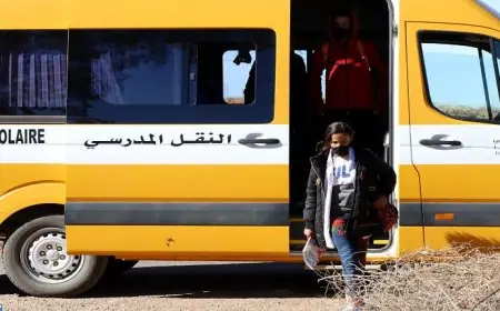 برلماني استقلالي يطالب وزير التربية الوطنية بالتدخل ضد تسييس النقل المدرسي